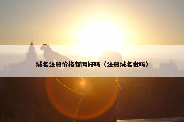 域名注册价格新网好吗（注册域名贵吗）
