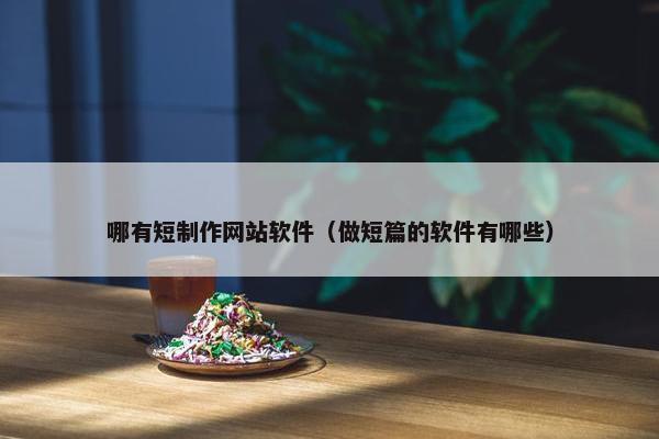 哪有短制作网站软件（做短篇的软件有哪些）
