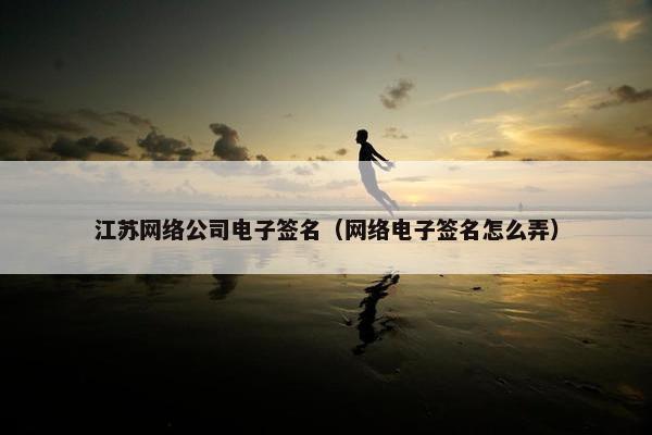 江苏网络公司电子签名（网络电子签名怎么弄）