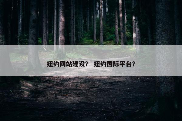 纽约网站建设？ 纽约国际平台？