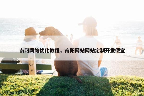 南阳网站优化教程，南阳网站网站定制开发便宜