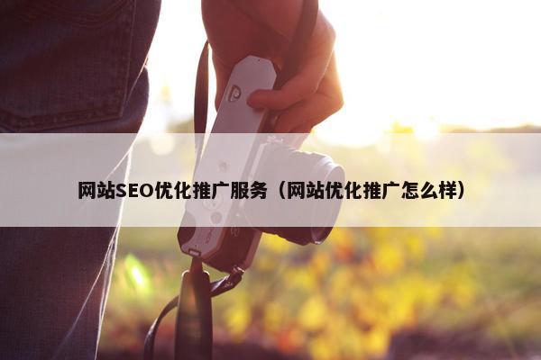 网站SEO优化推广服务（网站优化推广怎么样）