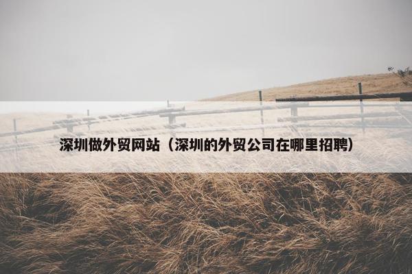 深圳做外贸网站（深圳的外贸公司在哪里招聘）