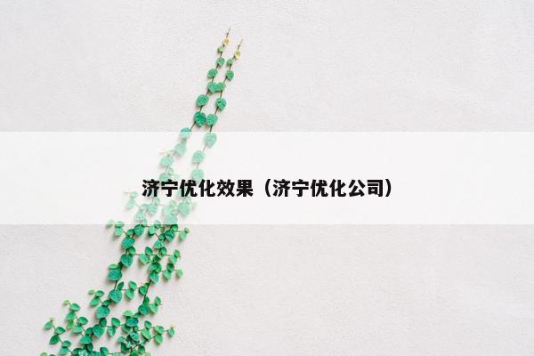 济宁优化效果（济宁优化公司）