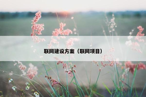 联网建设方案（联网项目）