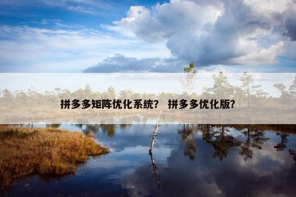 拼多多矩阵优化系统？ 拼多多优化版？