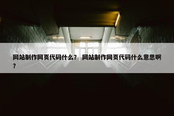 网站制作网页代码什么？ 网站制作网页代码什么意思啊？