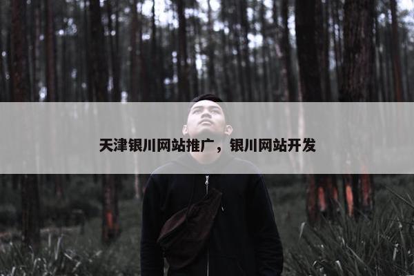 天津银川网站推广，银川网站开发