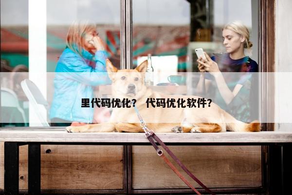 里代码优化？ 代码优化软件？