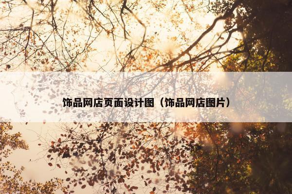 饰品网店页面设计图（饰品网店图片）