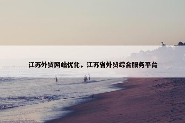 江苏外贸网站优化，江苏省外贸综合服务平台