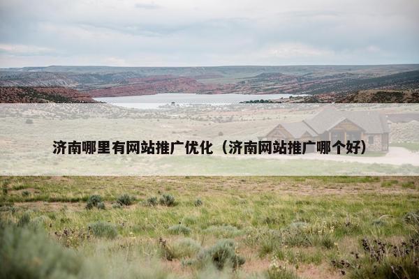 济南哪里有网站推广优化（济南网站推广哪个好）