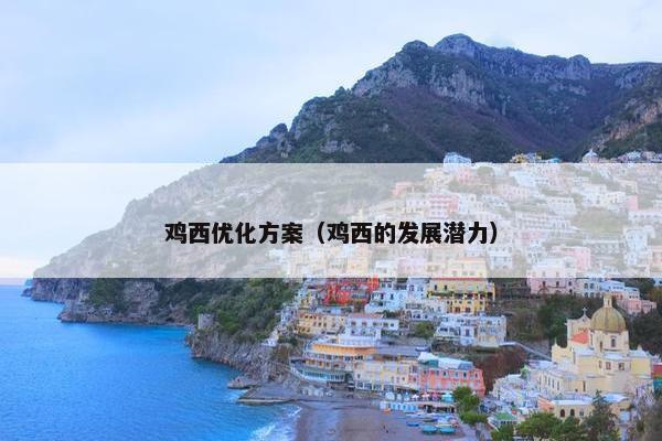 鸡西优化方案（鸡西的发展潜力）