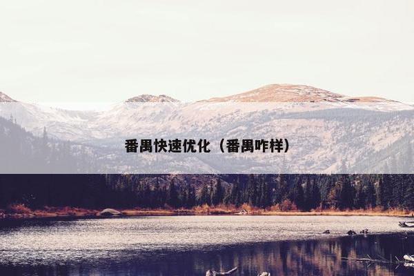 番禺快速优化（番禺咋样）