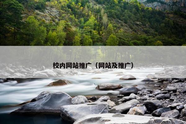 校内网站推广（网站及推广）