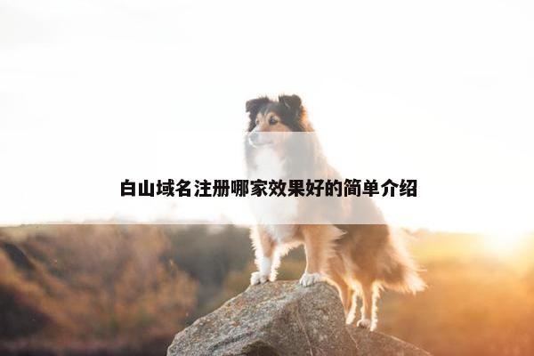 白山域名注册哪家效果好的简单介绍
