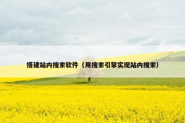 搭建站内搜索软件（用搜索引擎实现站内搜索）