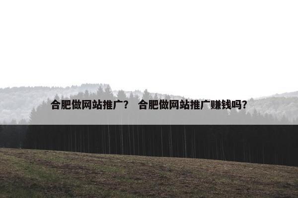 合肥做网站推广？ 合肥做网站推广赚钱吗？