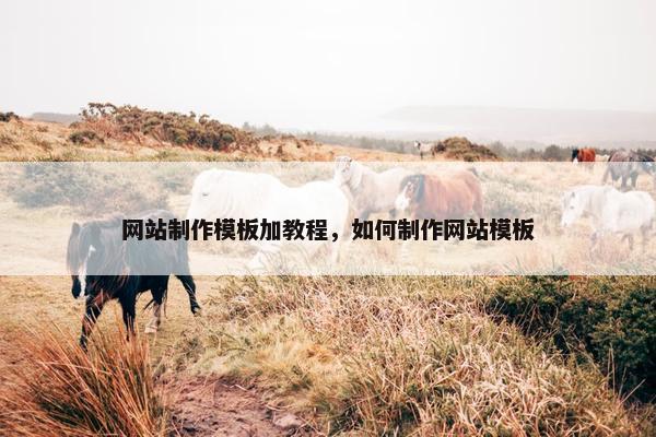 网站制作模板加教程，如何制作网站模板