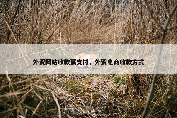 外贸网站收款赢支付，外贸电商收款方式
