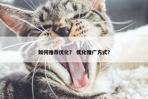 如何推荐优化？ 优化推广方式？