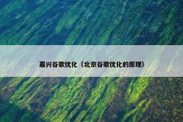 嘉兴谷歌优化（北京谷歌优化的原理）