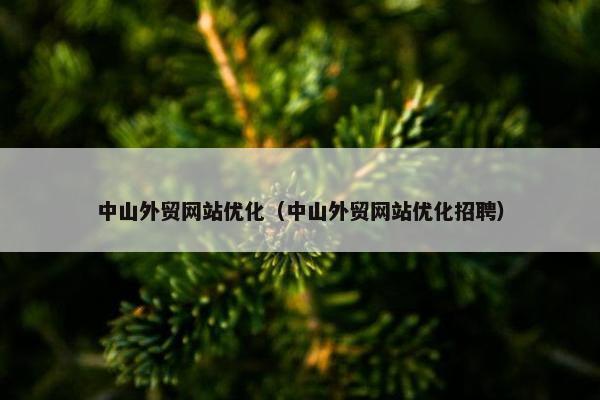 中山外贸网站优化（中山外贸网站优化招聘）