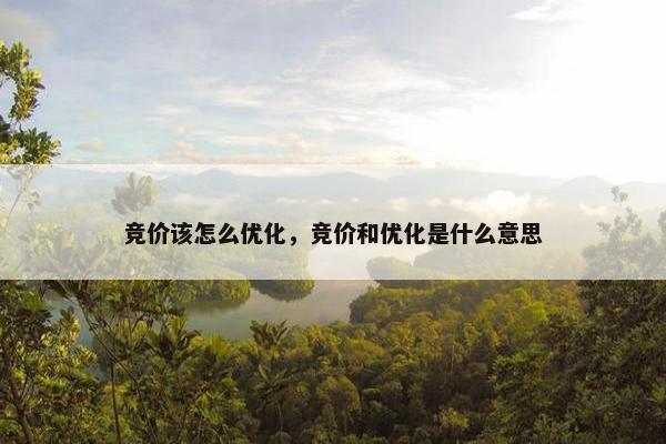 竞价该怎么优化，竞价和优化是什么意思