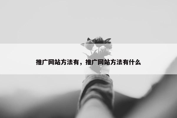 推广网站方法有，推广网站方法有什么