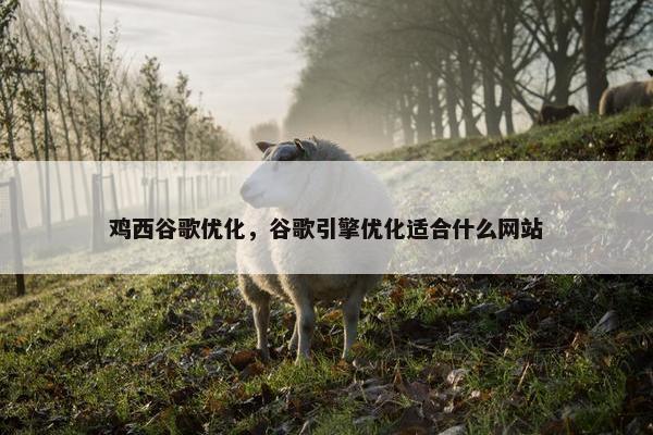 鸡西谷歌优化，谷歌引擎优化适合什么网站