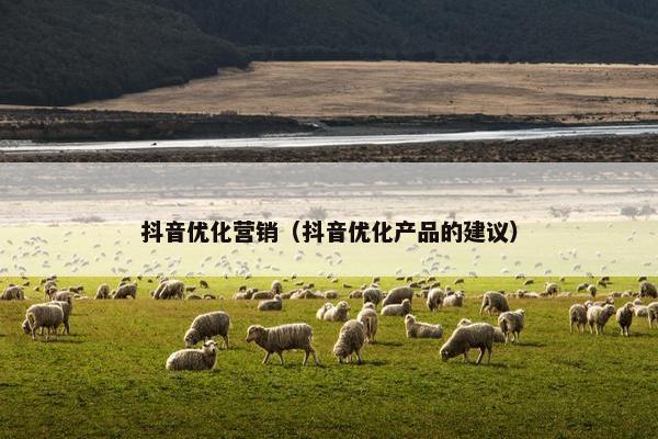 抖音优化营销（抖音优化产品的建议）