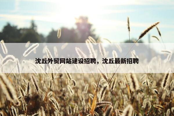 沈丘外贸网站建设招聘，沈丘最新招聘