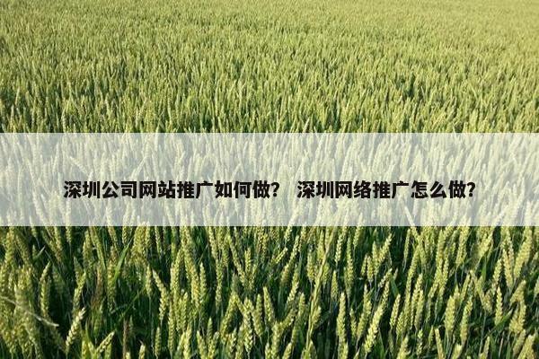 深圳公司网站推广如何做？ 深圳网络推广怎么做？