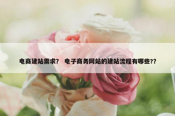 电商建站需求？ 电子商务网站的建站流程有哪些?？