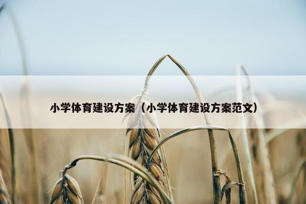 小学体育建设方案（小学体育建设方案范文）