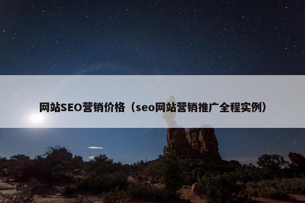 网站SEO营销价格（seo网站营销推广全程实例）