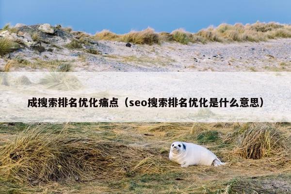 成搜索排名优化痛点（seo搜索排名优化是什么意思）