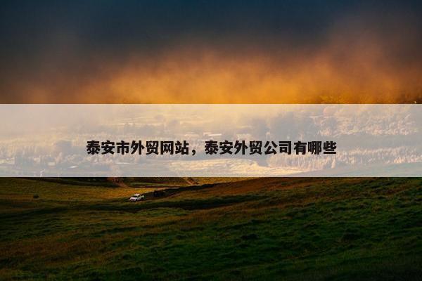 泰安市外贸网站，泰安外贸公司有哪些