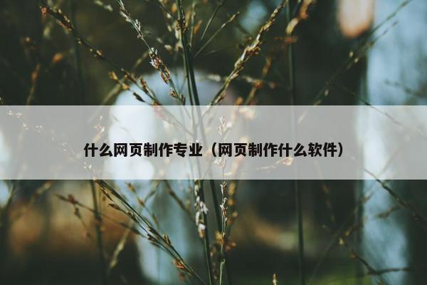 什么网页制作专业（网页制作什么软件）