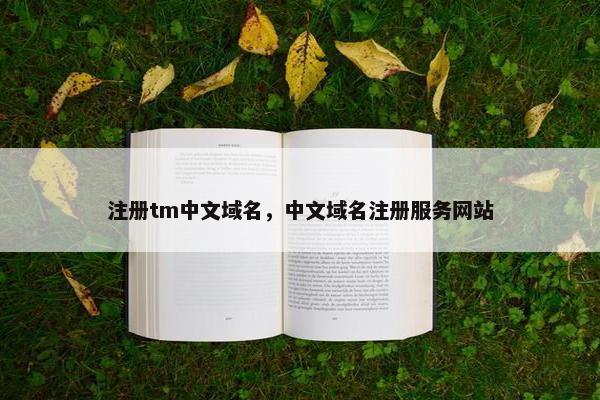 注册tm中文域名，中文域名注册服务网站
