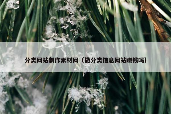 分类网站制作素材网（做分类信息网站赚钱吗）