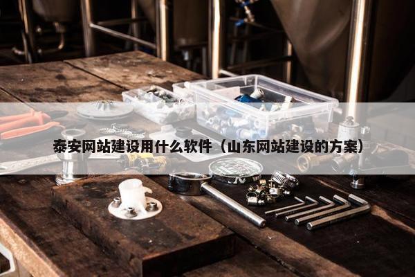 泰安网站建设用什么软件（山东网站建设的方案）