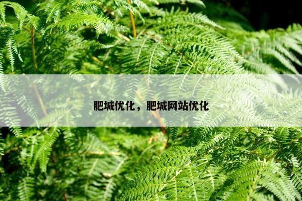 肥城优化，肥城网站优化