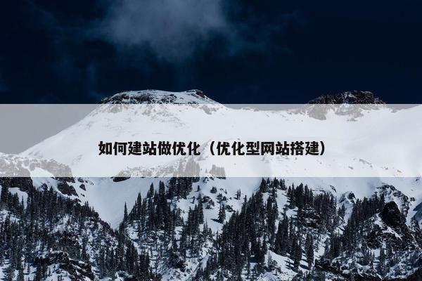 如何建站做优化（优化型网站搭建）