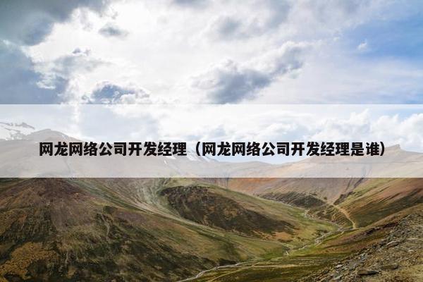网龙网络公司开发经理（网龙网络公司开发经理是谁）