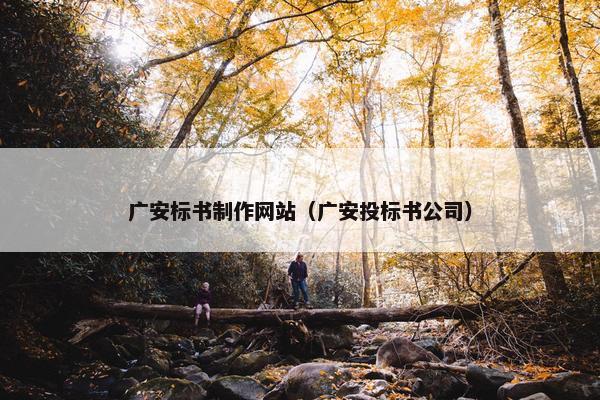 广安标书制作网站（广安投标书公司）