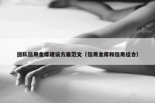 团队信用金库建设方案范文（信用金库和信用组合）