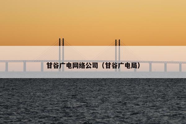 甘谷广电网络公司（甘谷广电局）