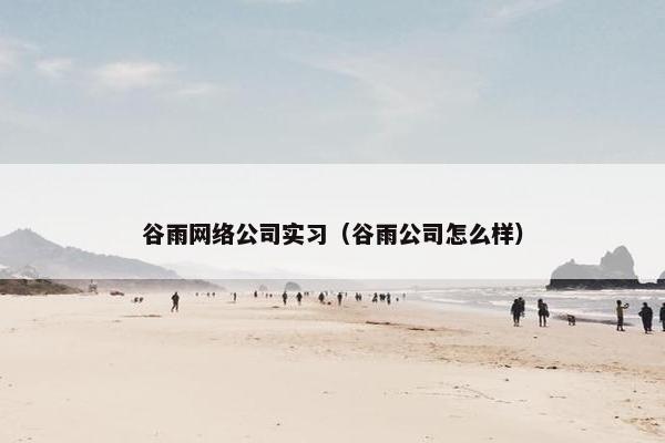 谷雨网络公司实习（谷雨公司怎么样）