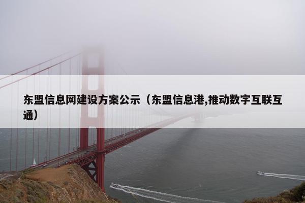东盟信息网建设方案公示（东盟信息港,推动数字互联互通）